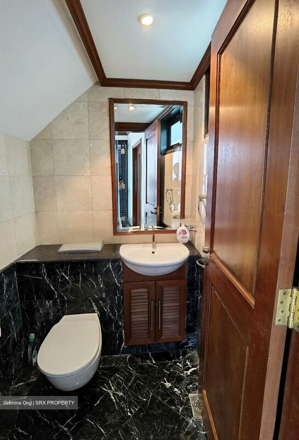 Kim Yam Road (D9), Detached #481362181